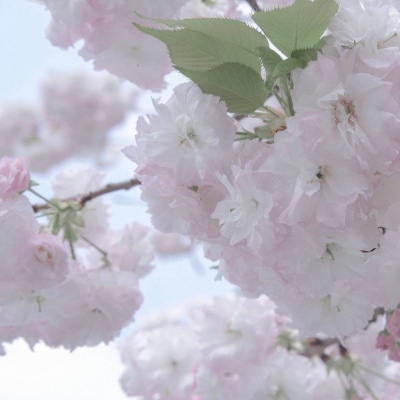 通道FurryQQ群介绍